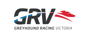 Greyhound Racing Victoria