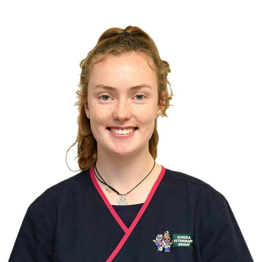 Tessa Eureka Veterinary Hospital